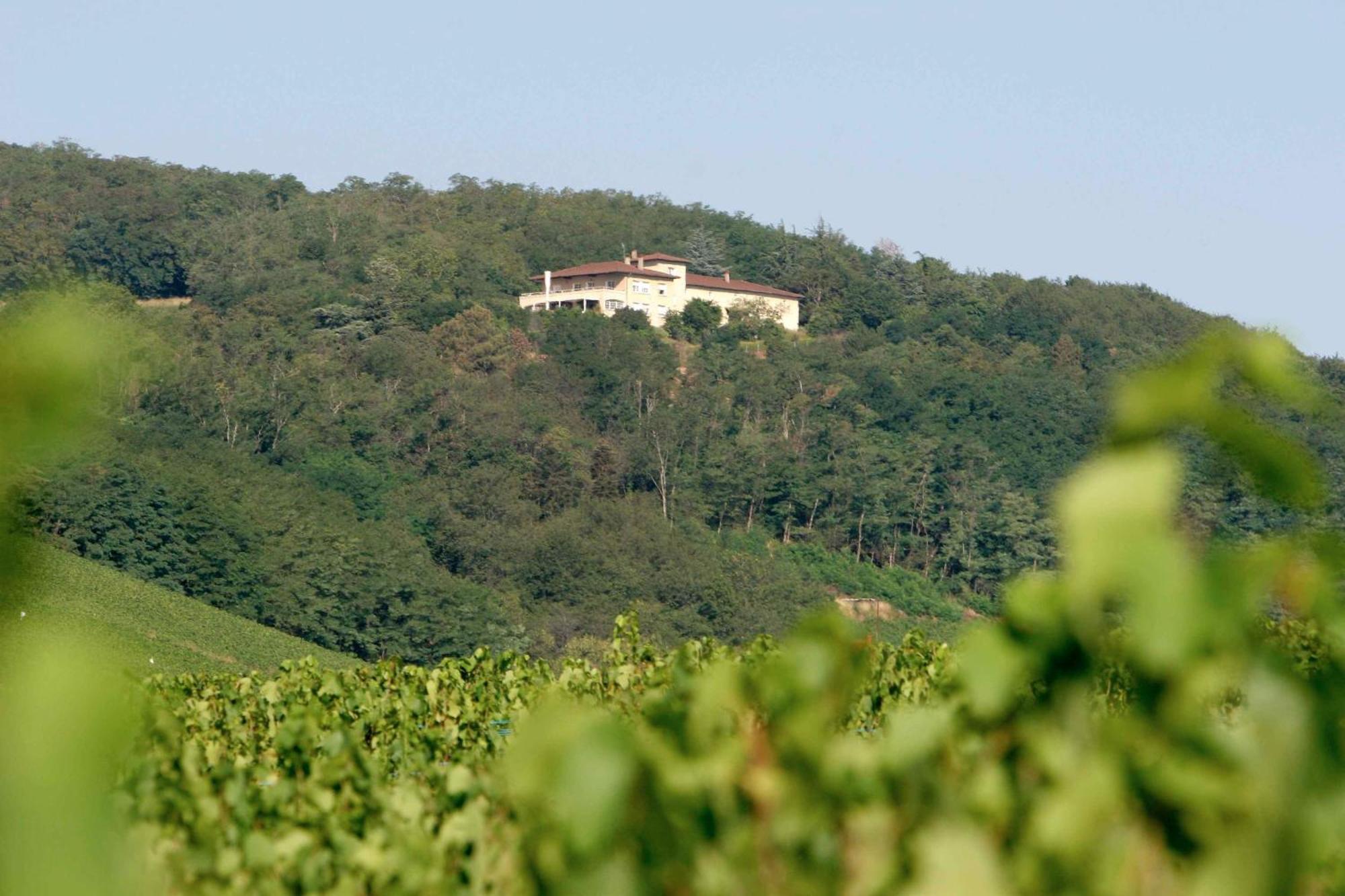 Auberge Les Hauts De Chénas Εξωτερικό φωτογραφία